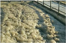 去除污水處理中的泡沫，可以選擇物理消泡器