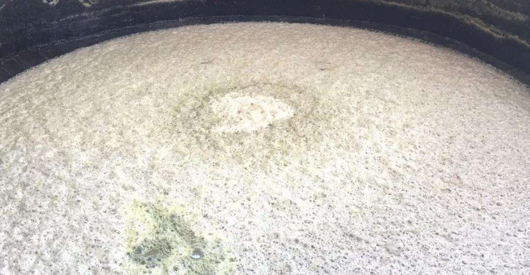 機械消泡器的優缺點深度解讀，這幾點你不得不知道